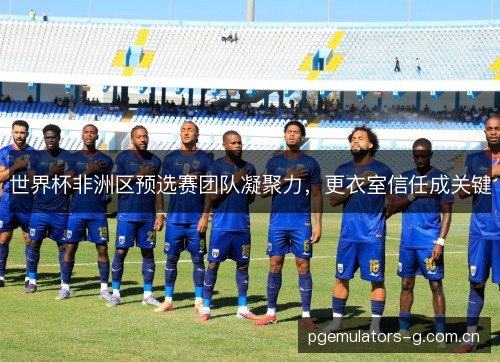 世界杯非洲区预选赛团队凝聚力,更衣室信任成关键 世界杯非洲区预选赛团队凝聚力,更衣室信任成关键